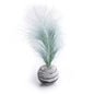 Cat Toy Feather