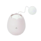 interactive cat toys