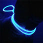 Glowing Pup Fashion