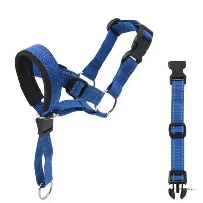 dog training collars