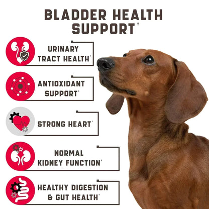 urinary care dog food