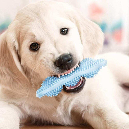 ChewPal Durable