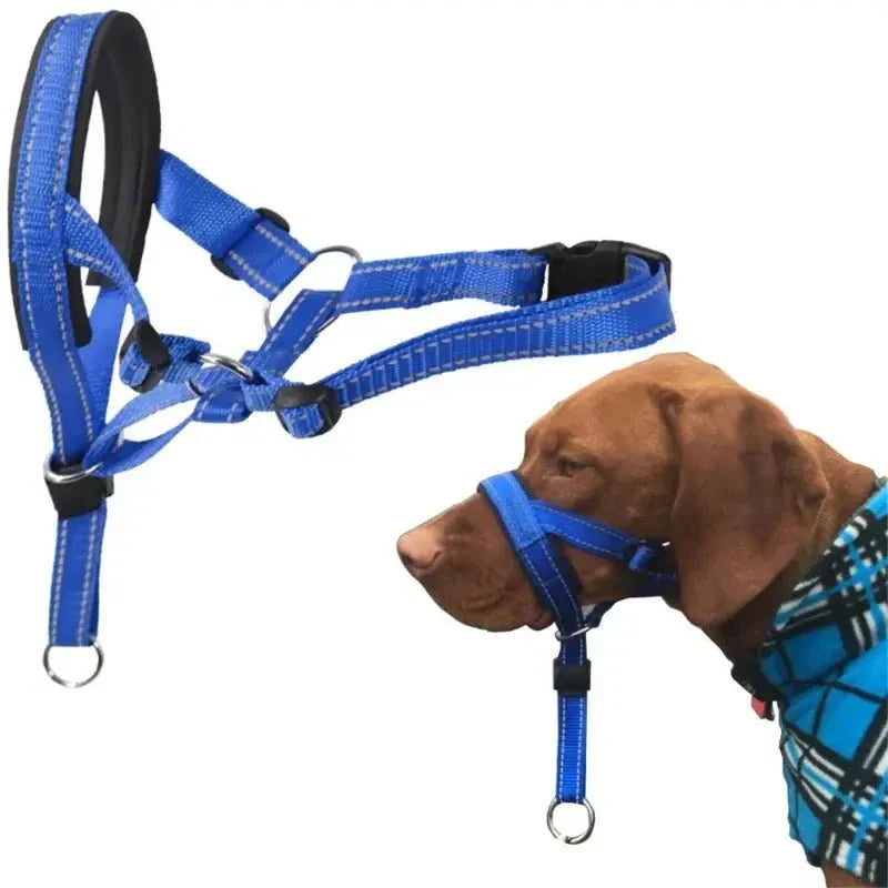 dog training collars