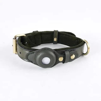gps dog collar