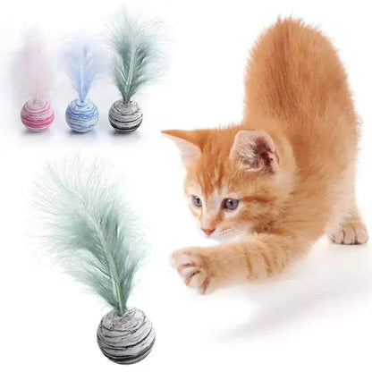 Cat Toy Feather