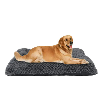 Wool Dog Bed