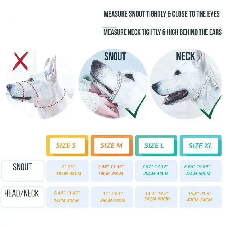 dog training collars