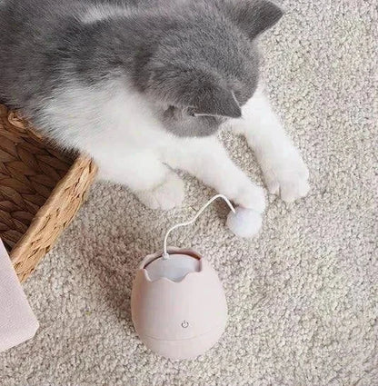interactive cat toys