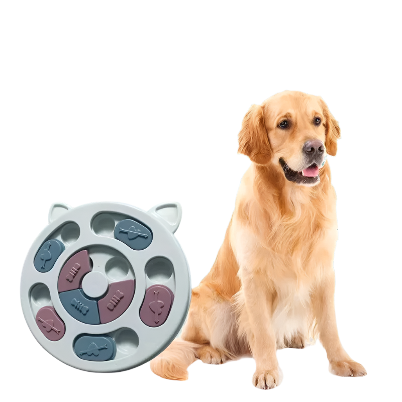 Cat and Dog