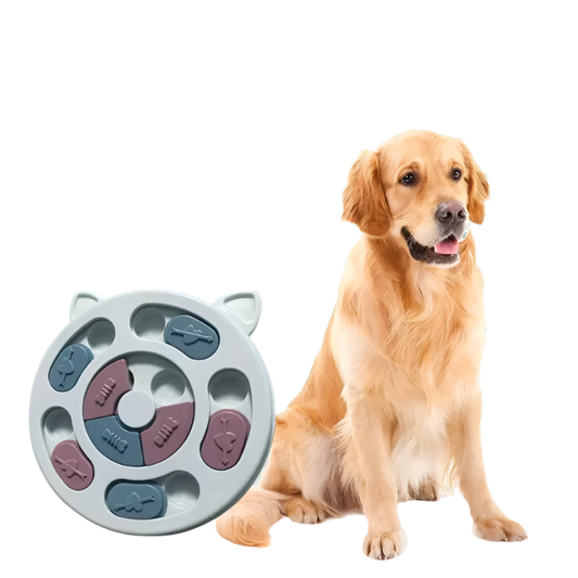 Cat and Dog