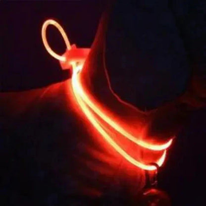 Glowing Pup Fashion