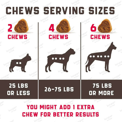 urinary care dog food