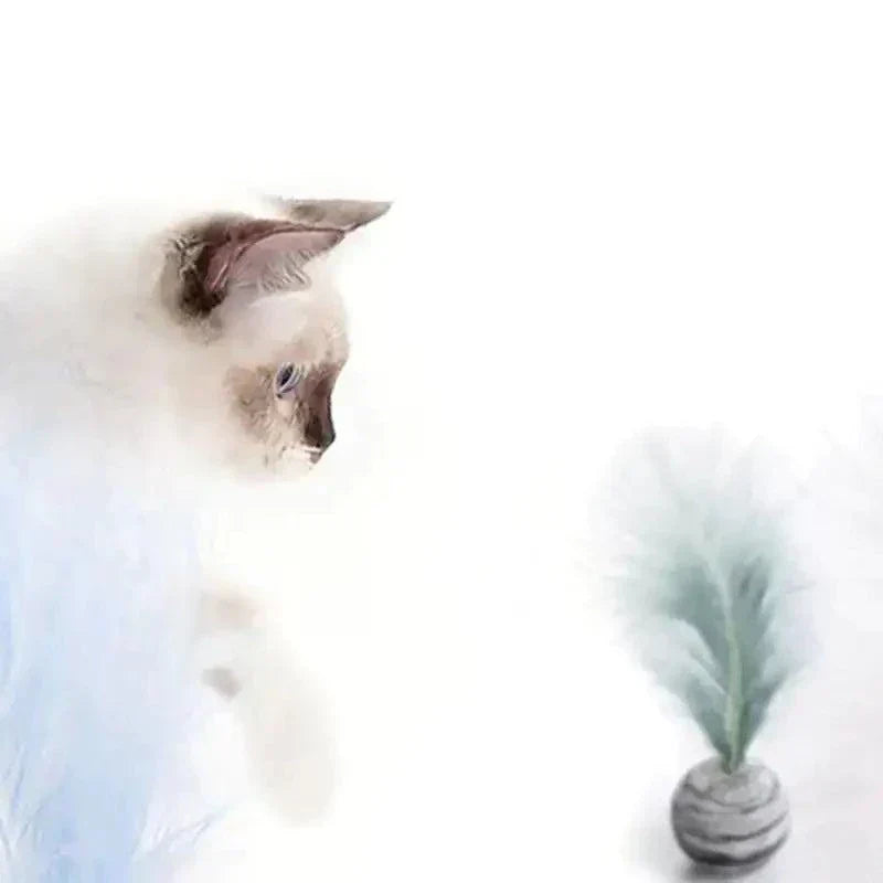 Cat Toy Feather