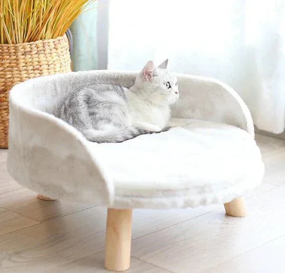pet sofa