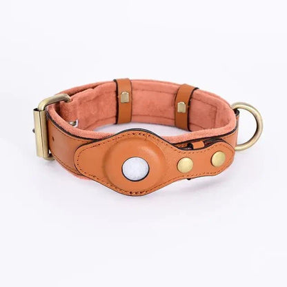 gps dog collar